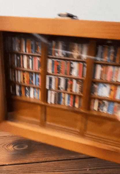 Quirky Bookshelf Desk Decor – Fun Novelty Gift for Home & Office